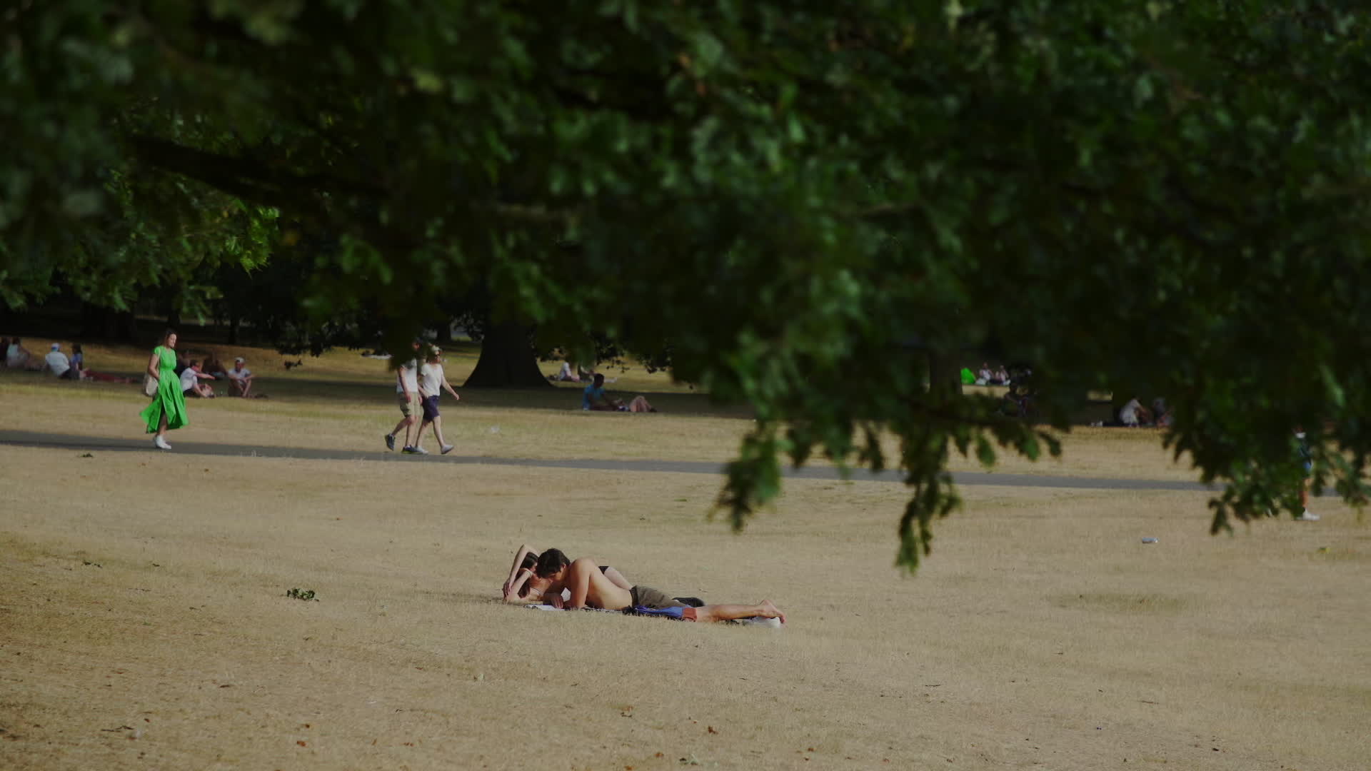 Greenwich Park in London During Heatwave