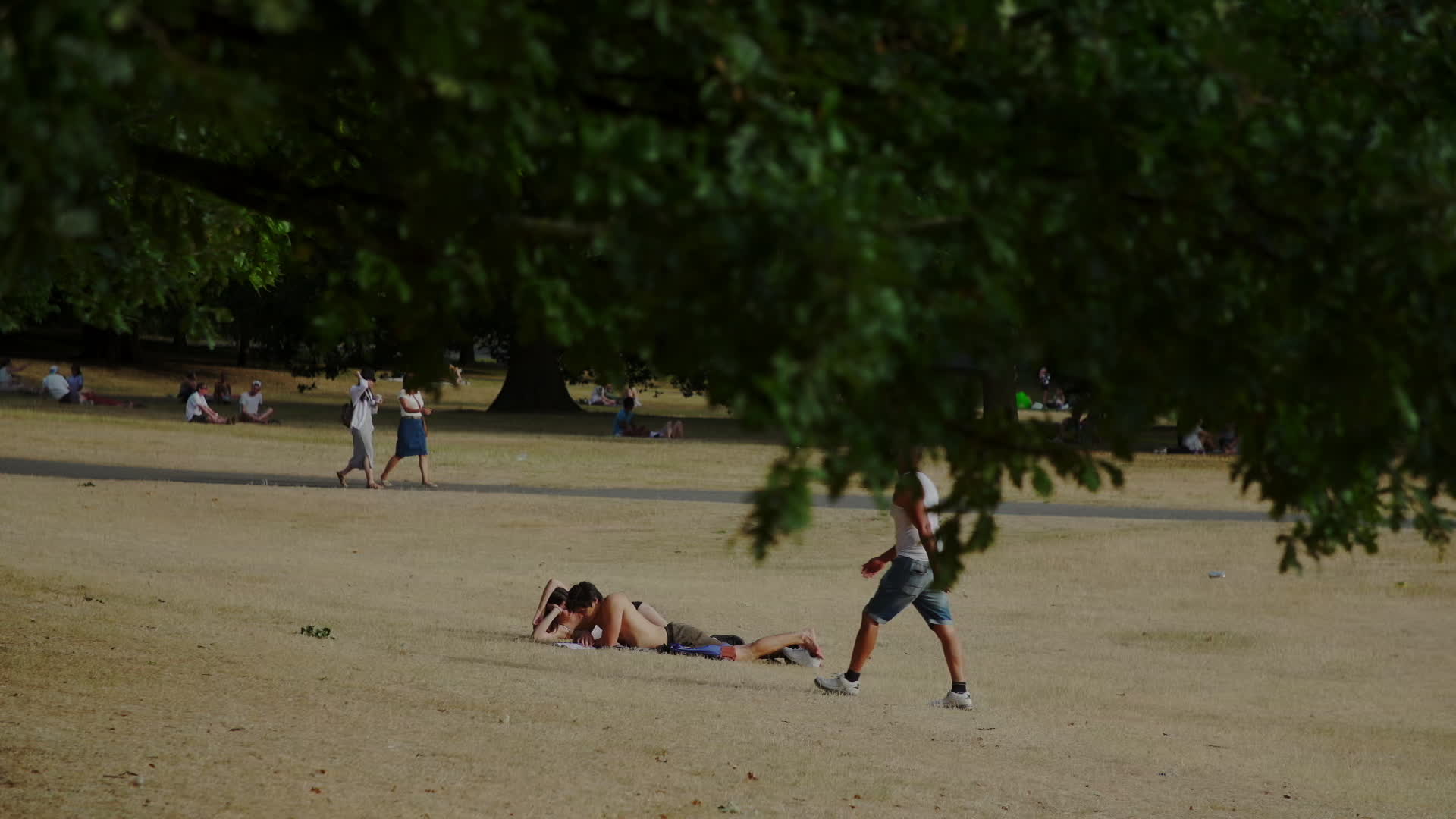 Greenwich Park in London During Heatwave