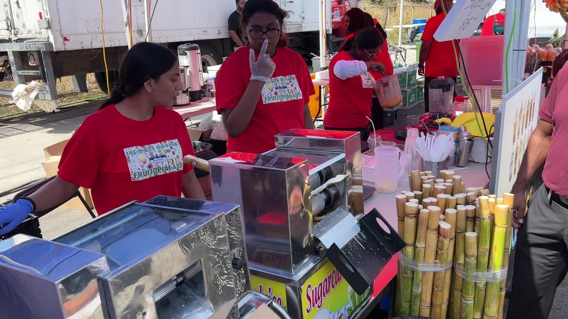 Tamil Street Festival