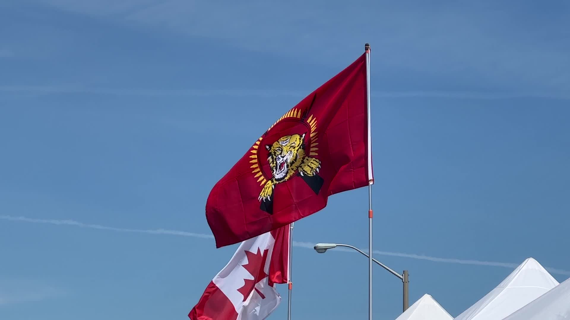 Tamil Street Festival