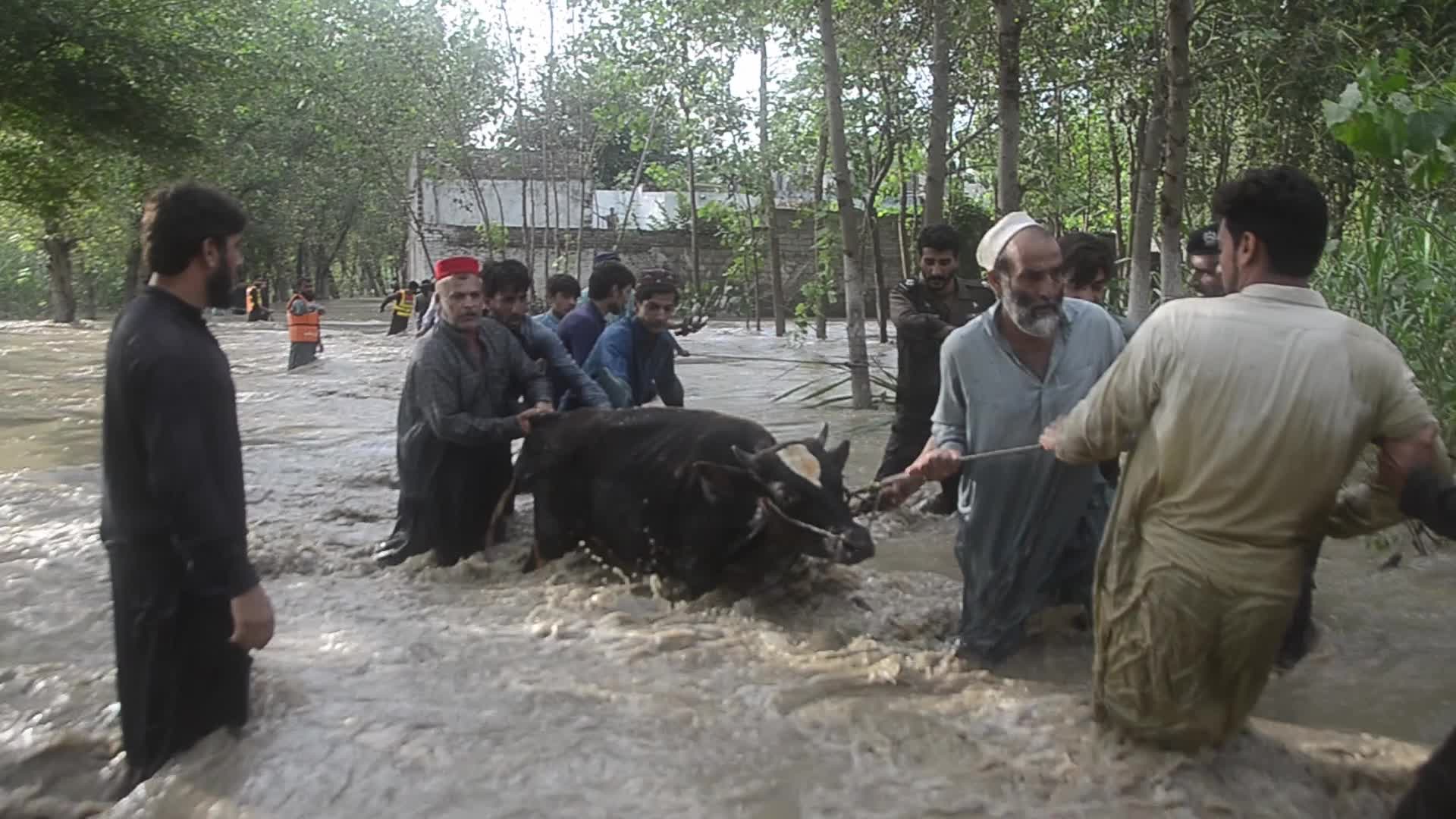 Over 900 dead since June amid heavy monsoon rains in Pakistan