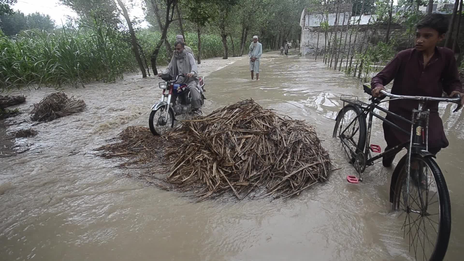 Over 900 dead since June amid heavy monsoon rains in Pakistan