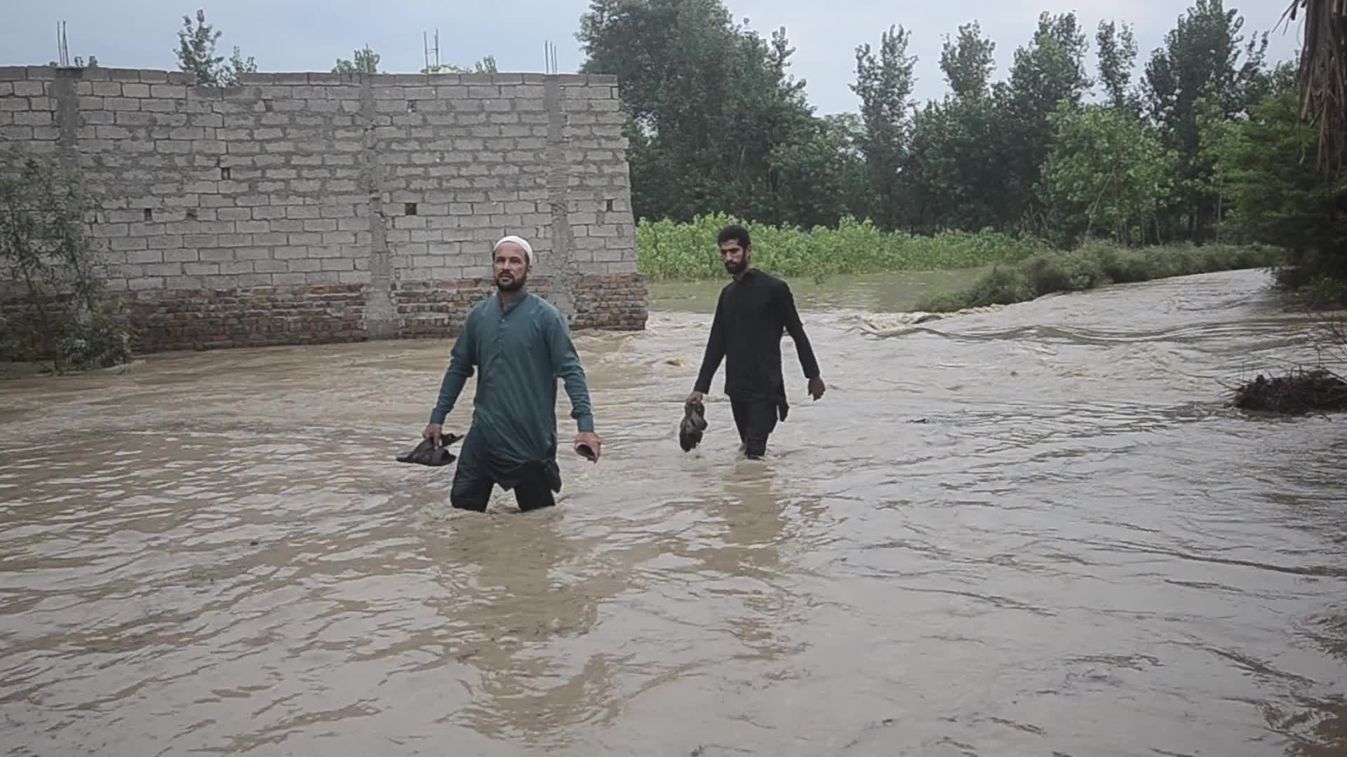 Over 900 dead since June amid heavy monsoon rains in Pakistan