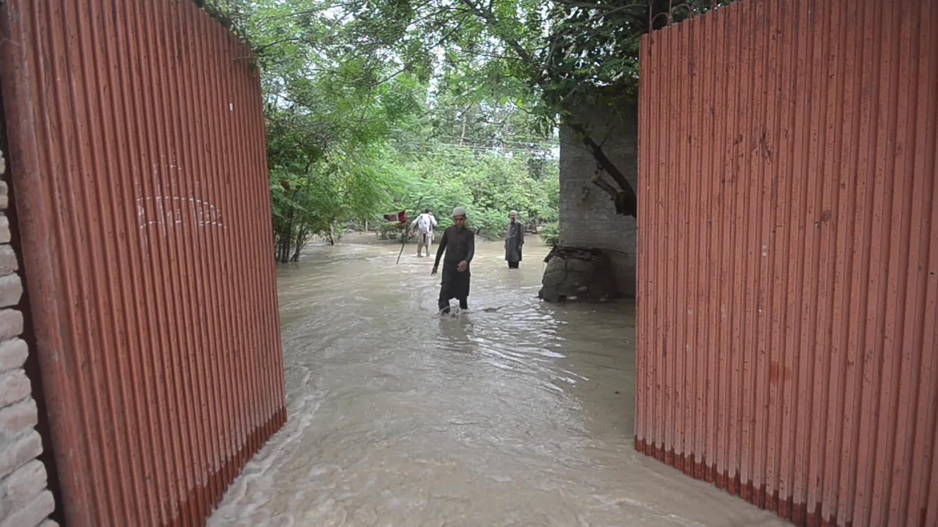 Over 900 dead since June amid heavy monsoon rains in Pakistan