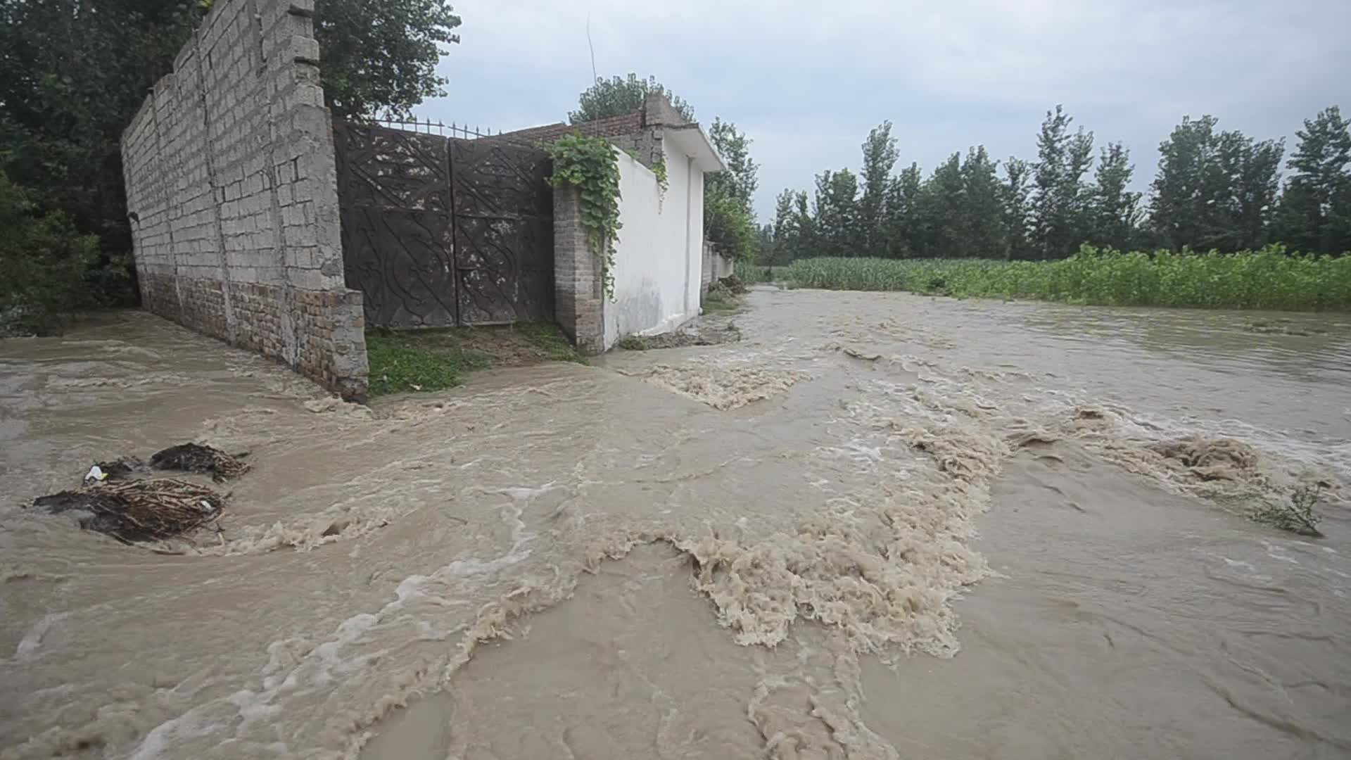 Over 900 dead since June amid heavy monsoon rains in Pakistan