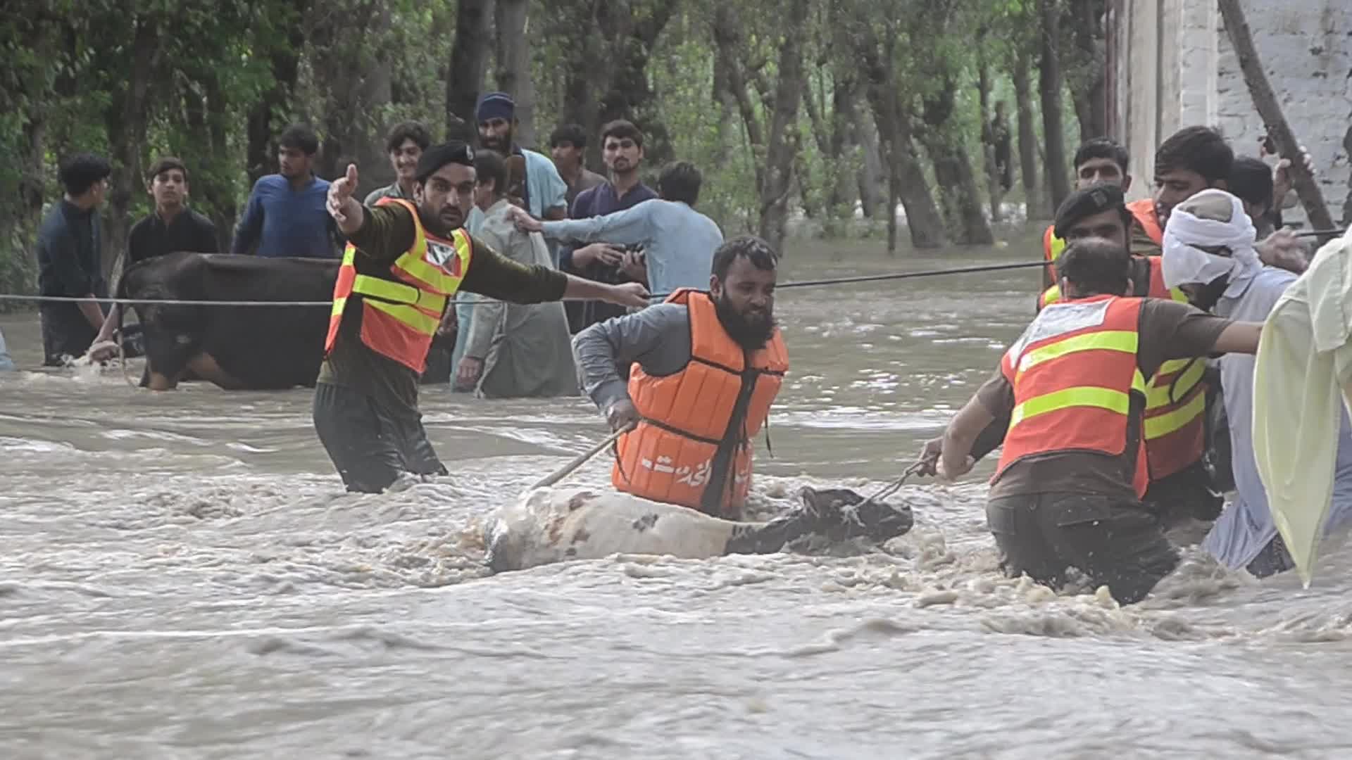 Over 900 dead since June amid heavy monsoon rains in Pakistan