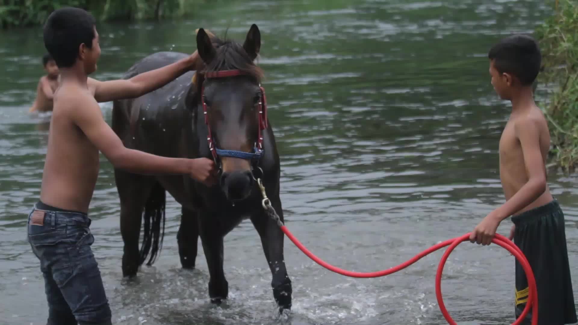 Traditional Horse Racing In The Gayo Highlands Of Aceh
