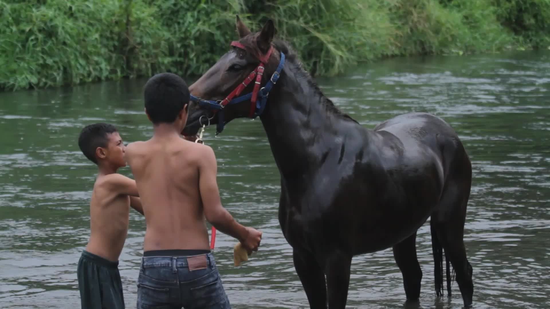 Traditional Horse Racing In The Gayo Highlands Of Aceh