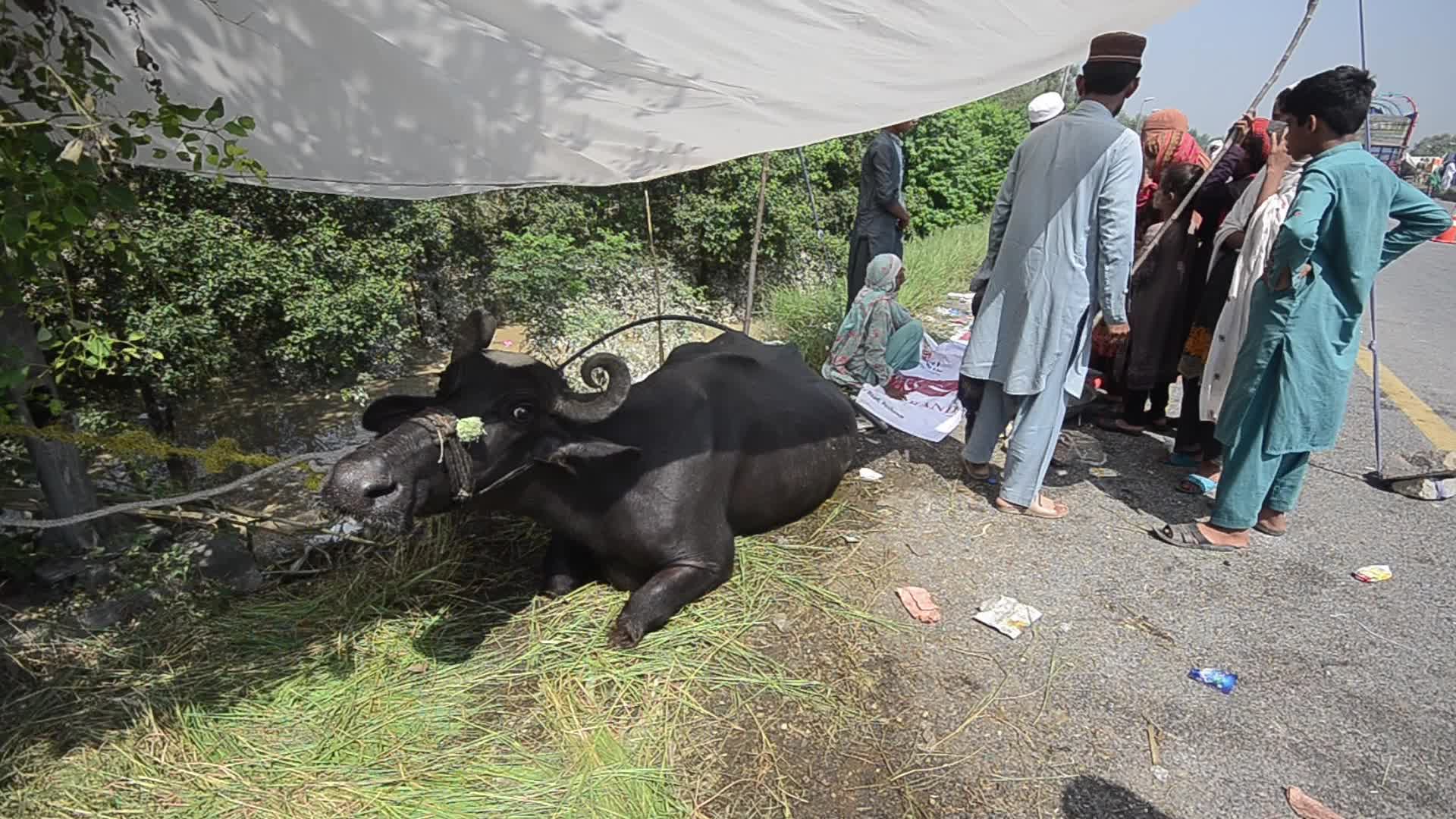 Over 1,061, dead since June amid heavy monsoon rains in Pakistan