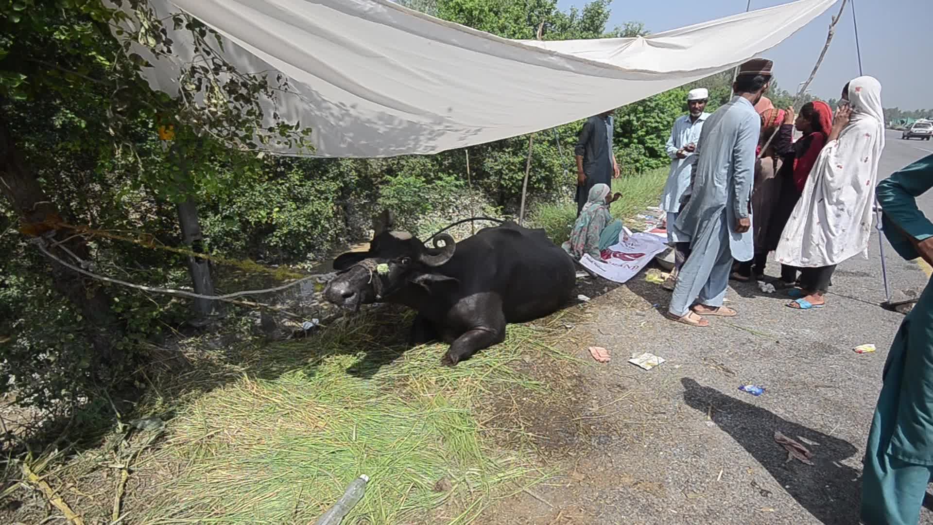 Over 1,061, dead since June amid heavy monsoon rains in Pakistan