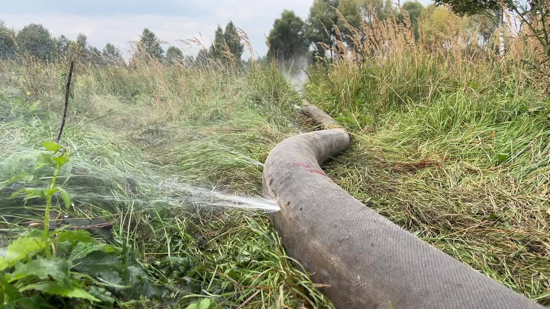 Peat Soil Fire Continues To Burn In The Kyiv Region 