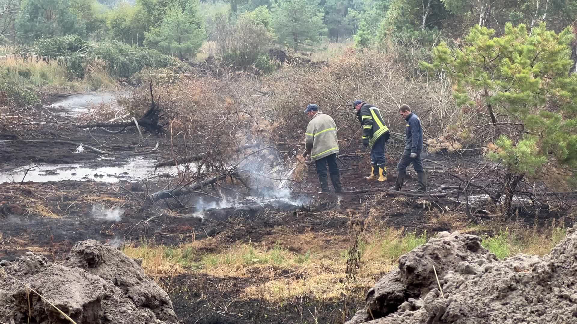 Peat Soil Fire Continues To Burn In The Kyiv Region 