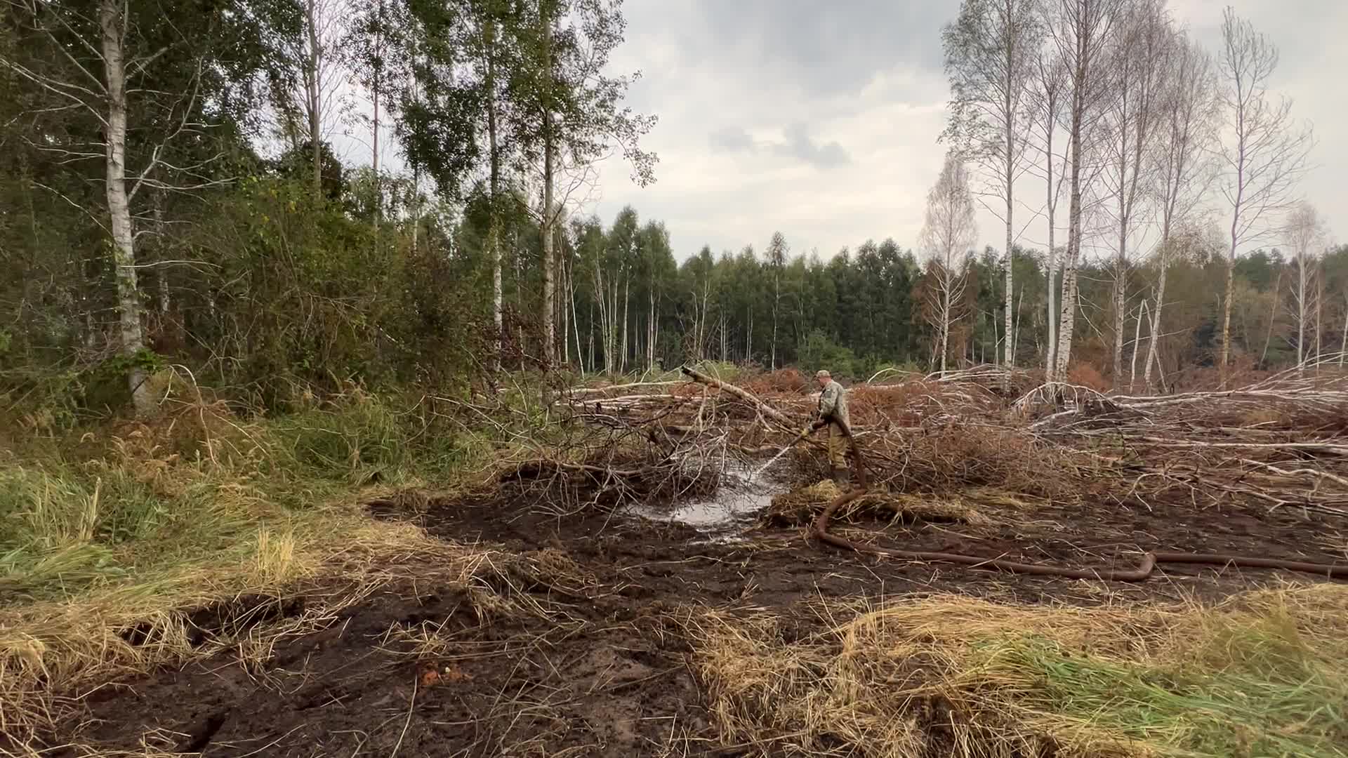 Peat Soil Fire Continues To Burn In The Kyiv Region 