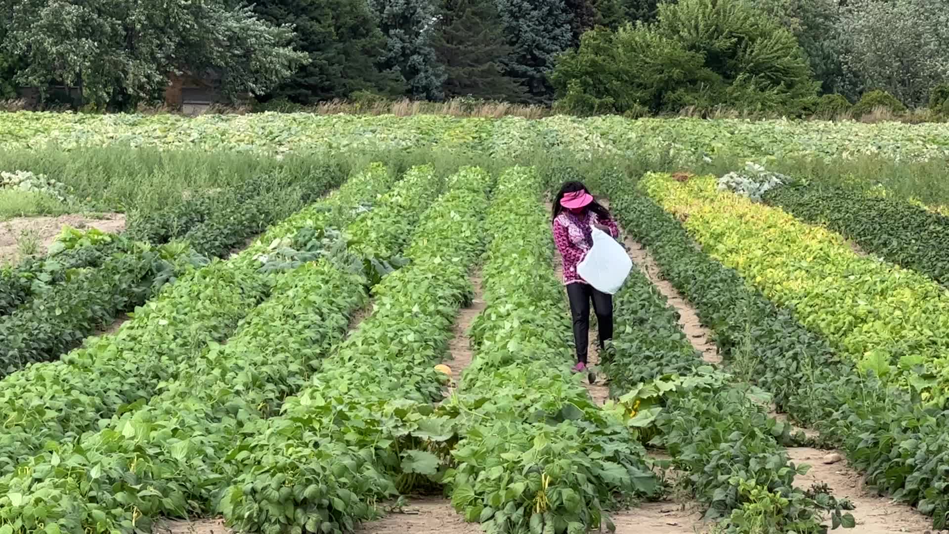 Agriculture in Canada