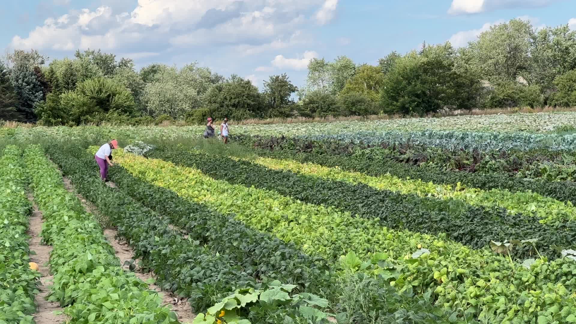 Agriculture in Canada