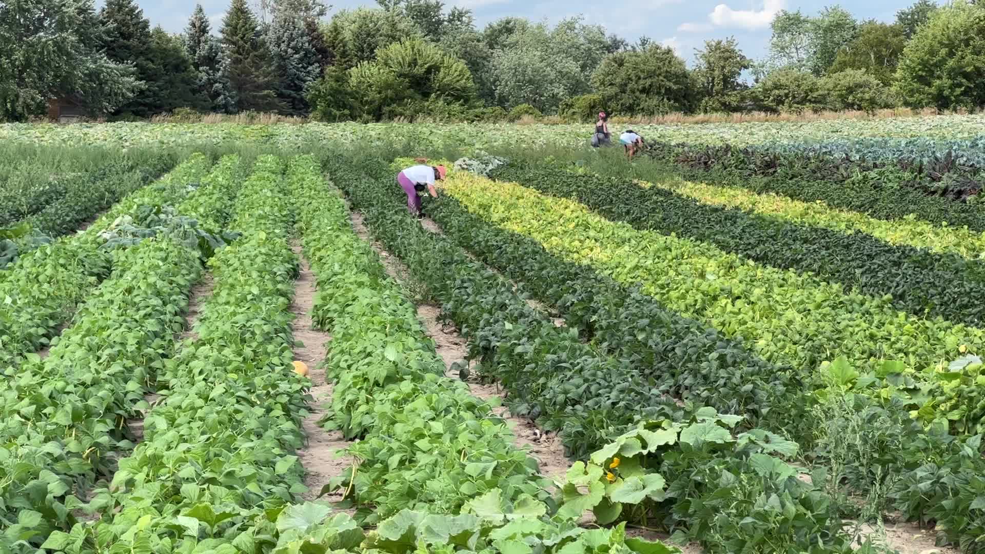 Agriculture in Canada