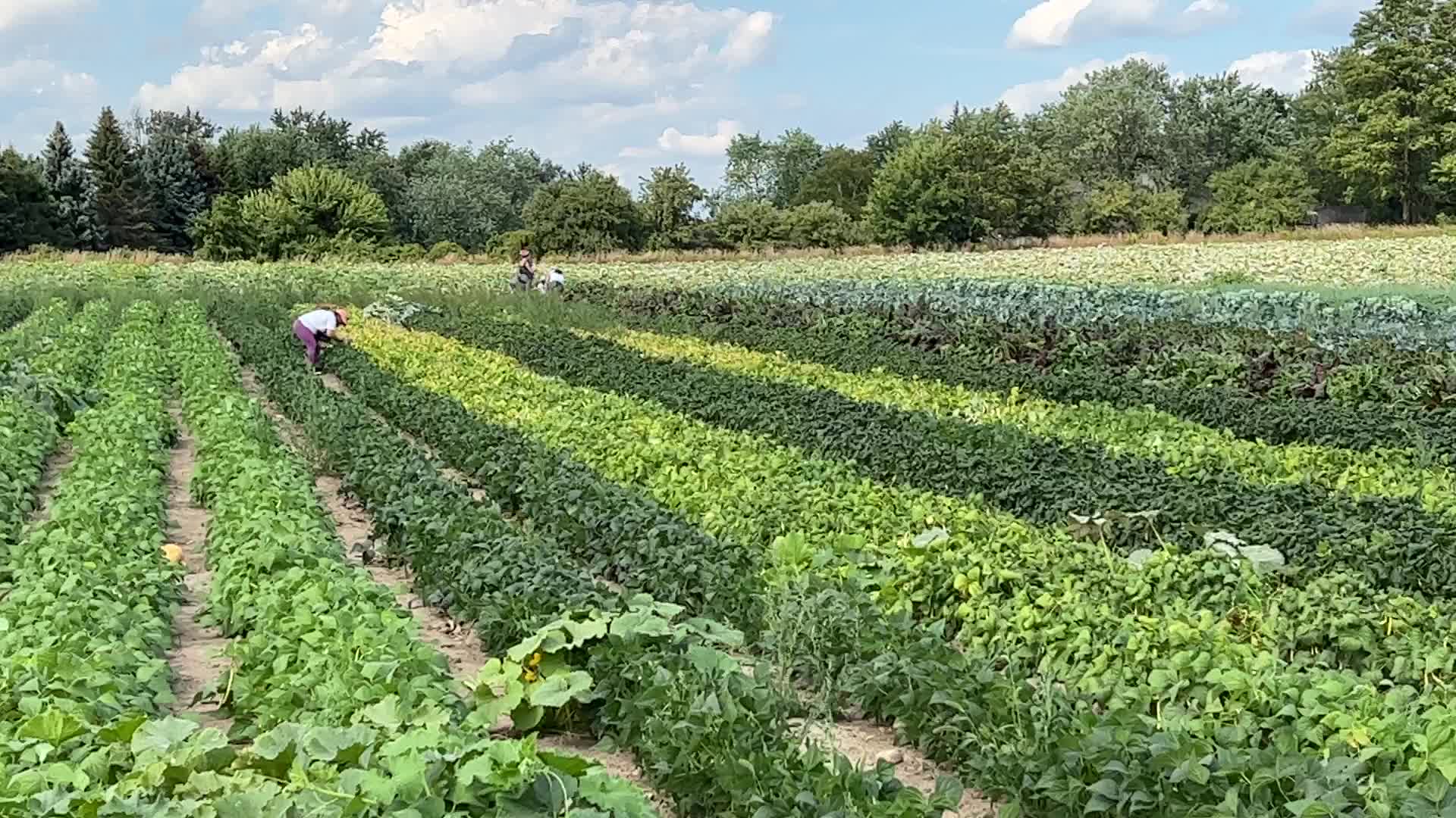 Agriculture in Canada