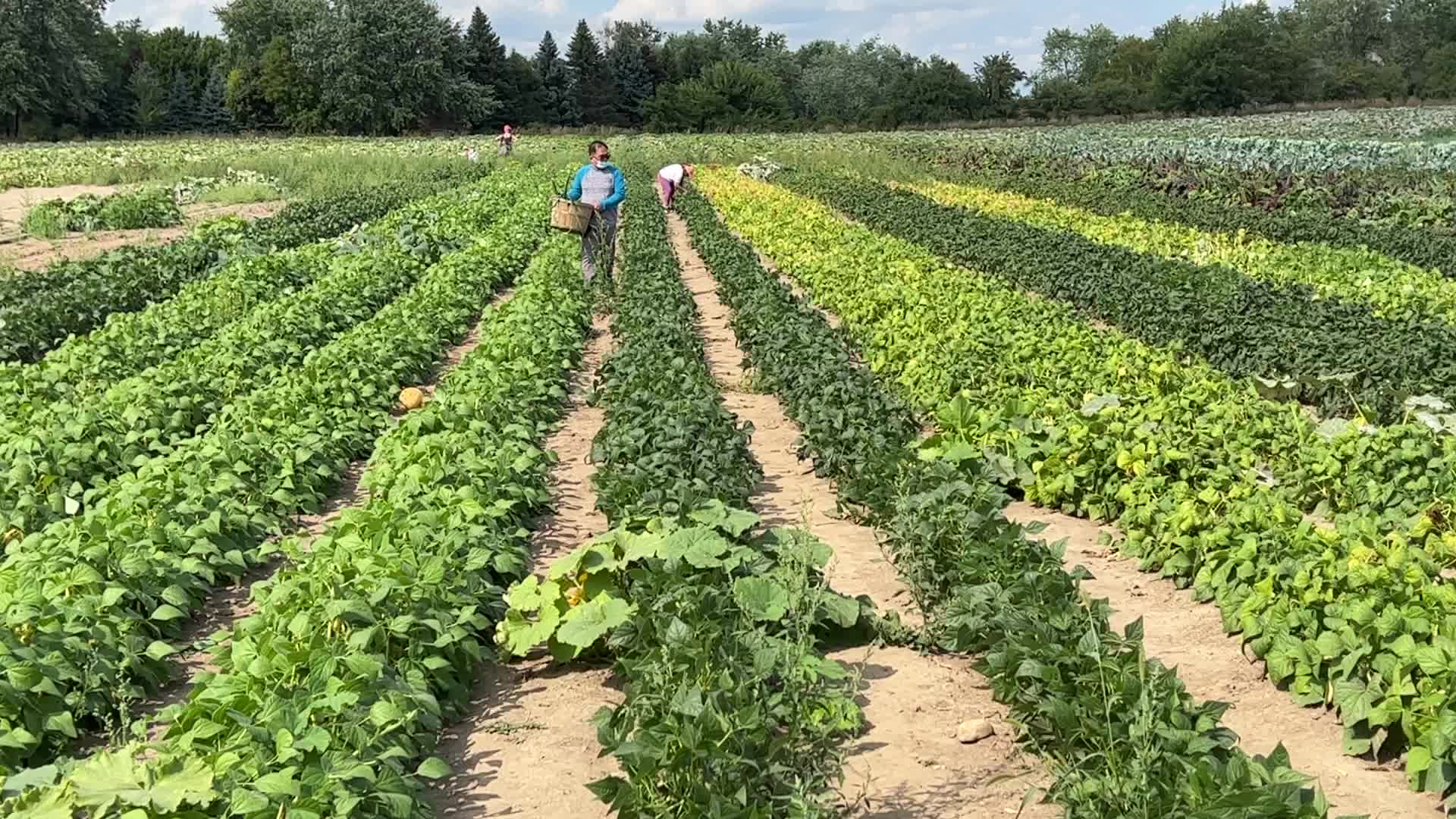 Agriculture in Canada