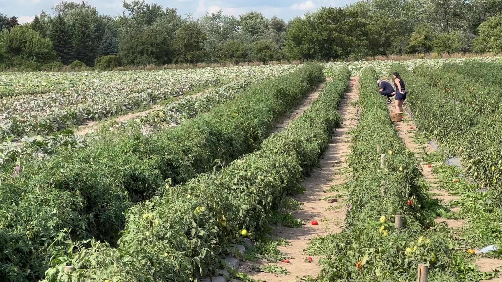 Agriculture in Canada