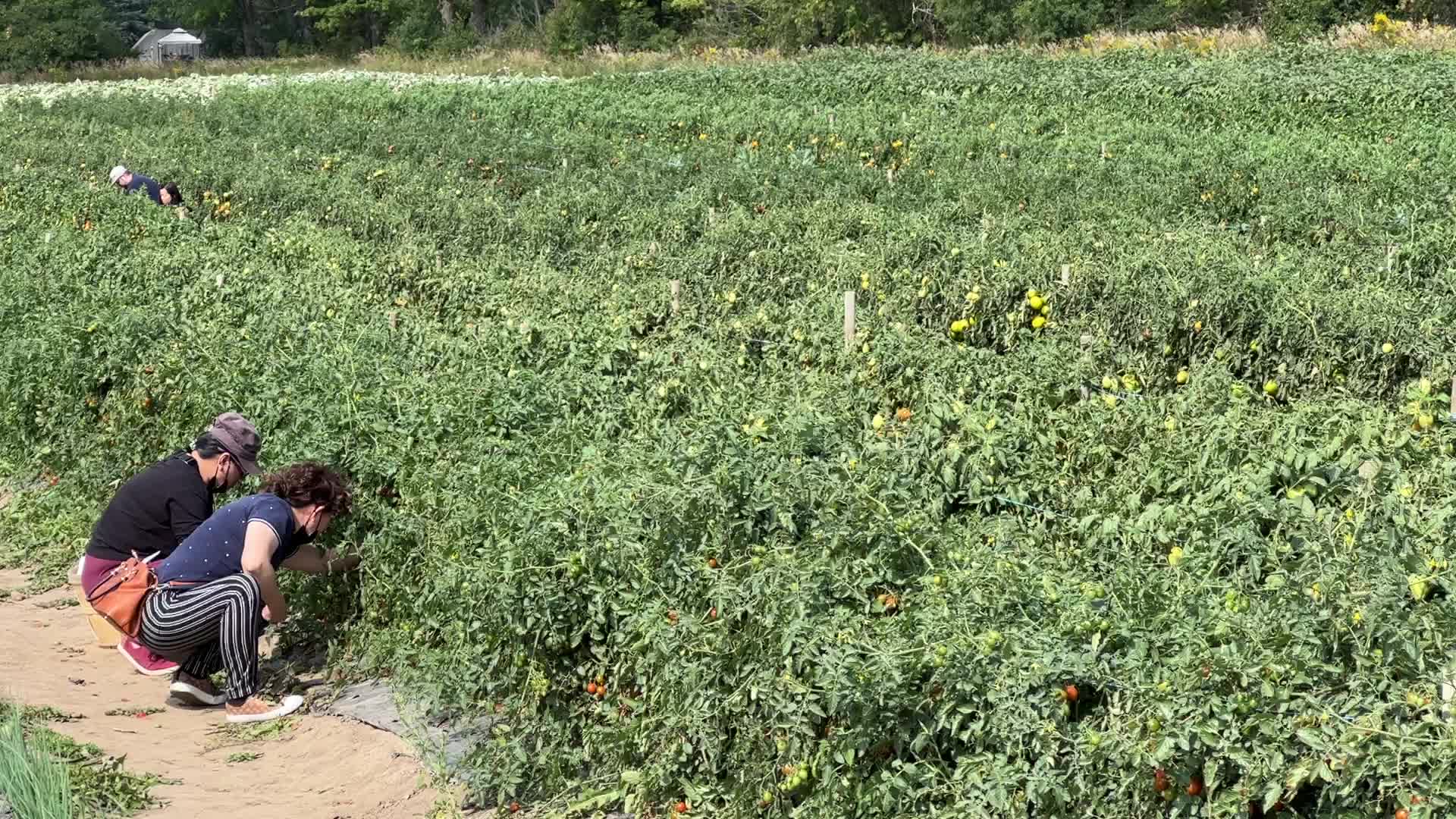 Agriculture in Canada