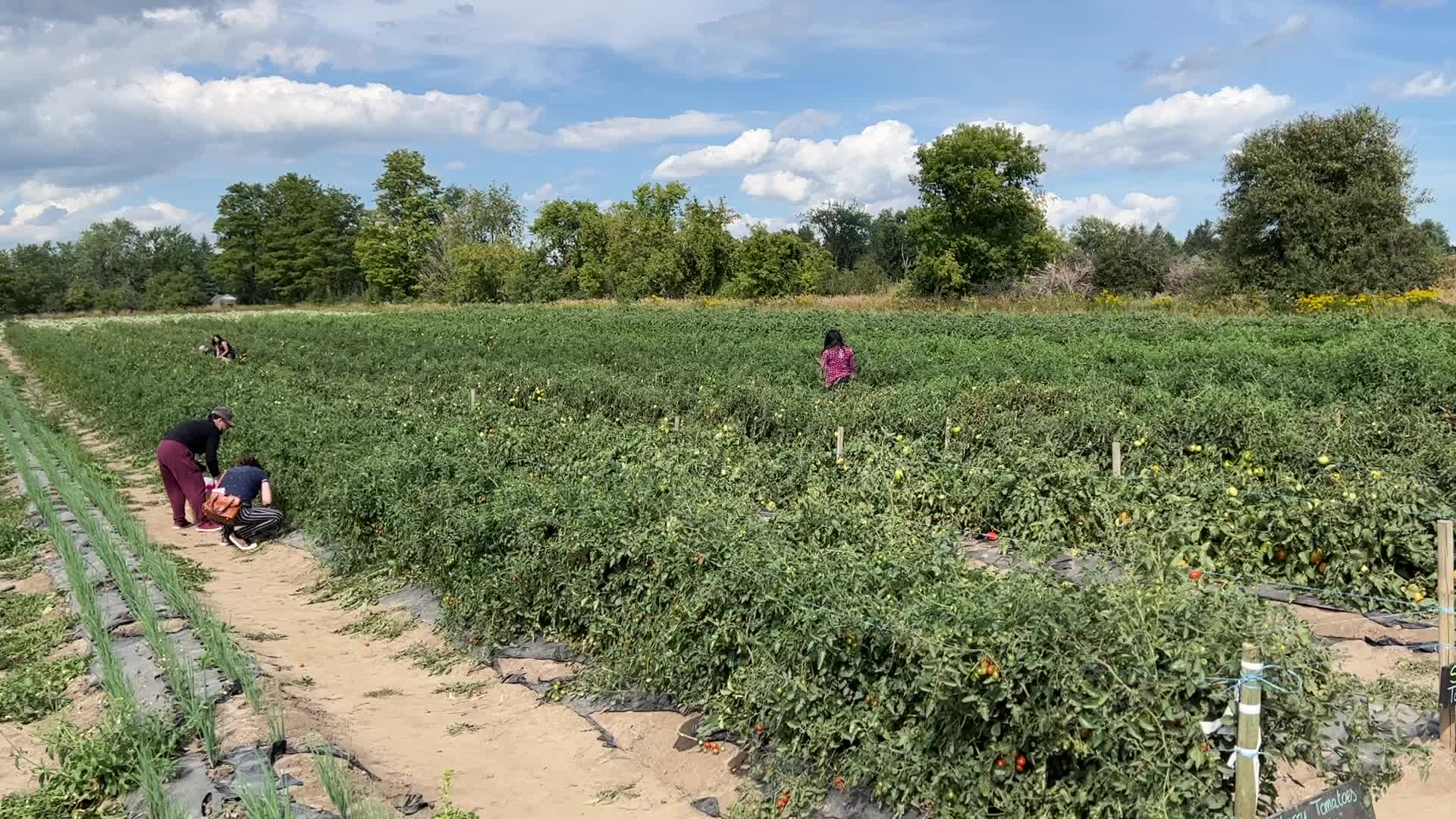 Agriculture in Canada