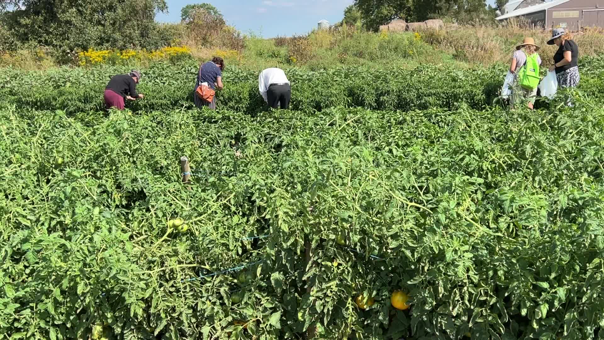 Agriculture in Canada