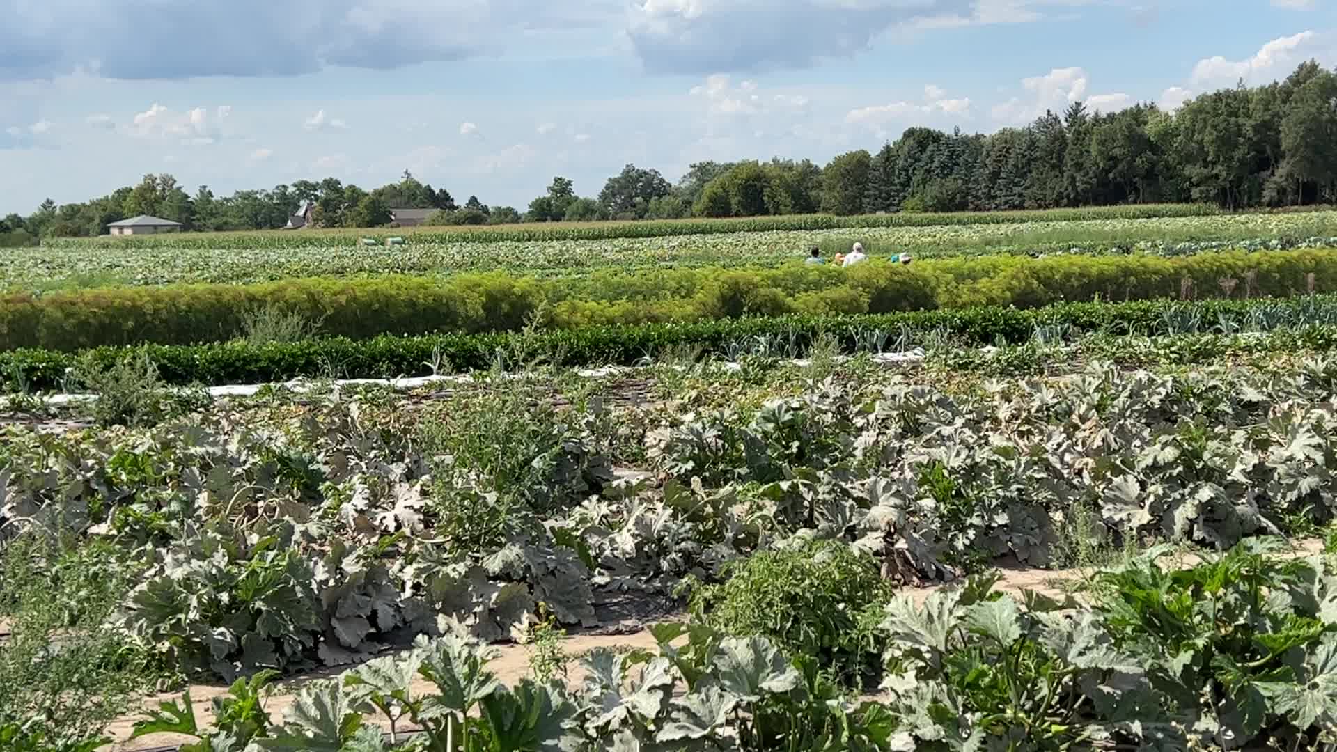 Agriculture in Canada