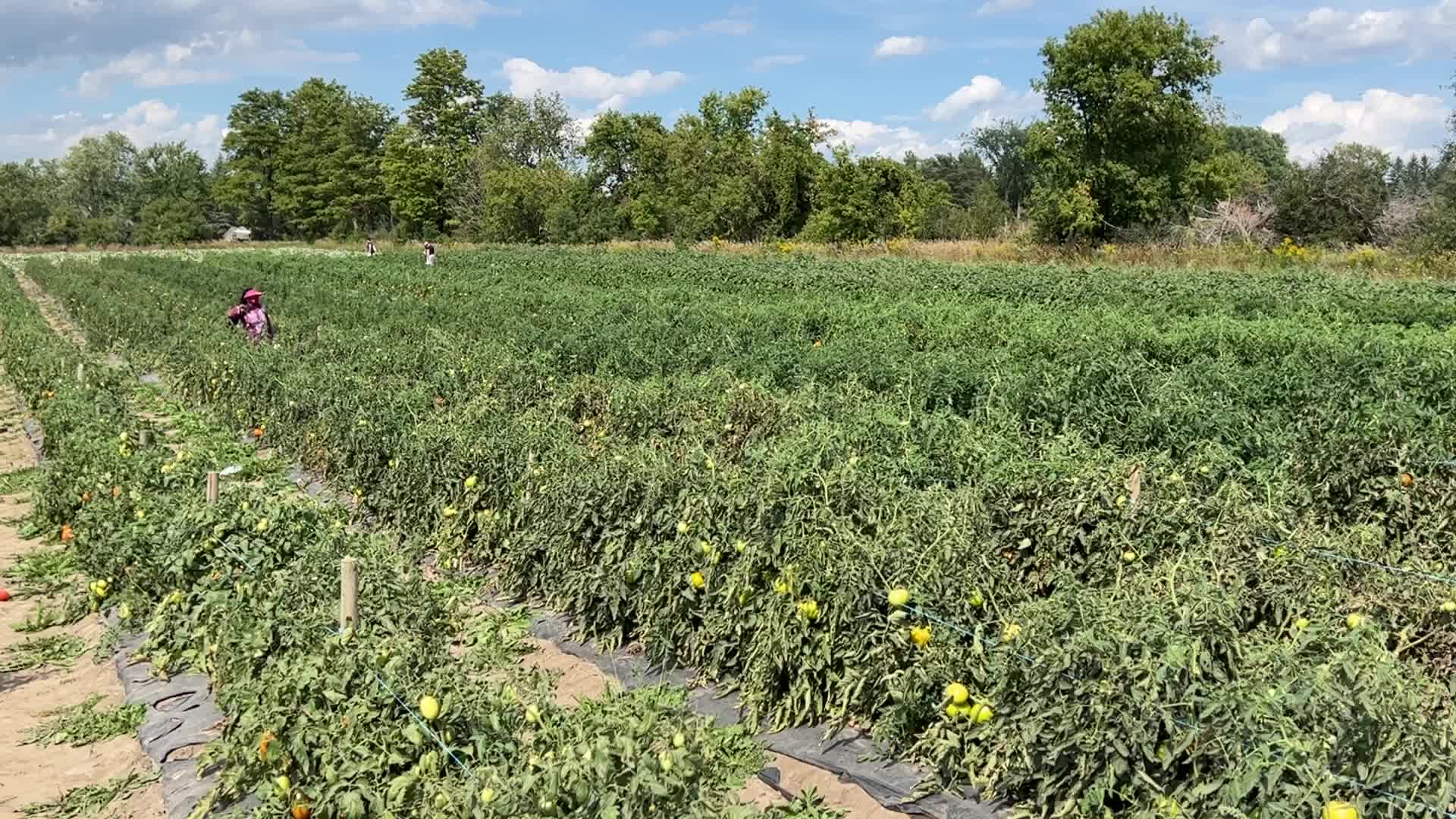 Agriculture in Canada