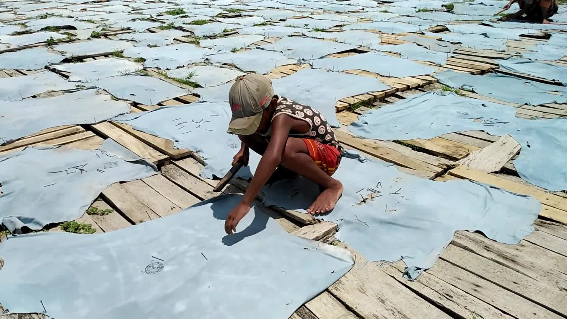 Raw Leather Drying in Dhaka
