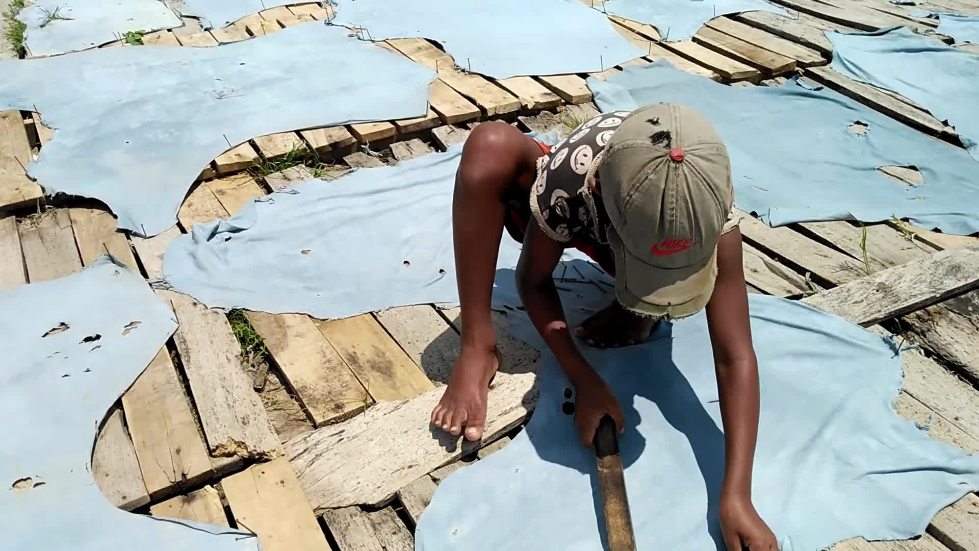 Raw Leather Drying in Dhaka