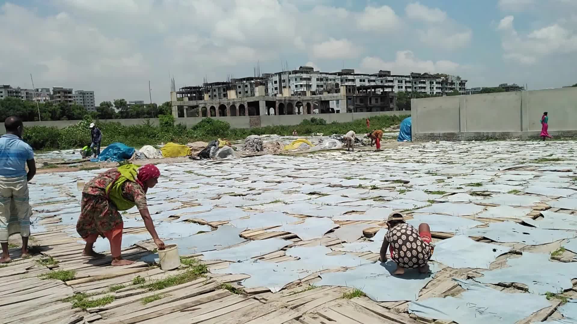 Raw Leather Drying in Dhaka