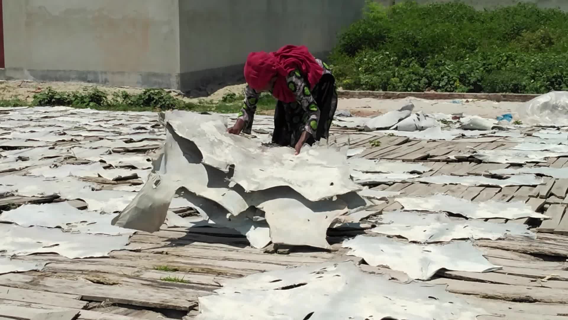 Raw Leather Drying in Dhaka