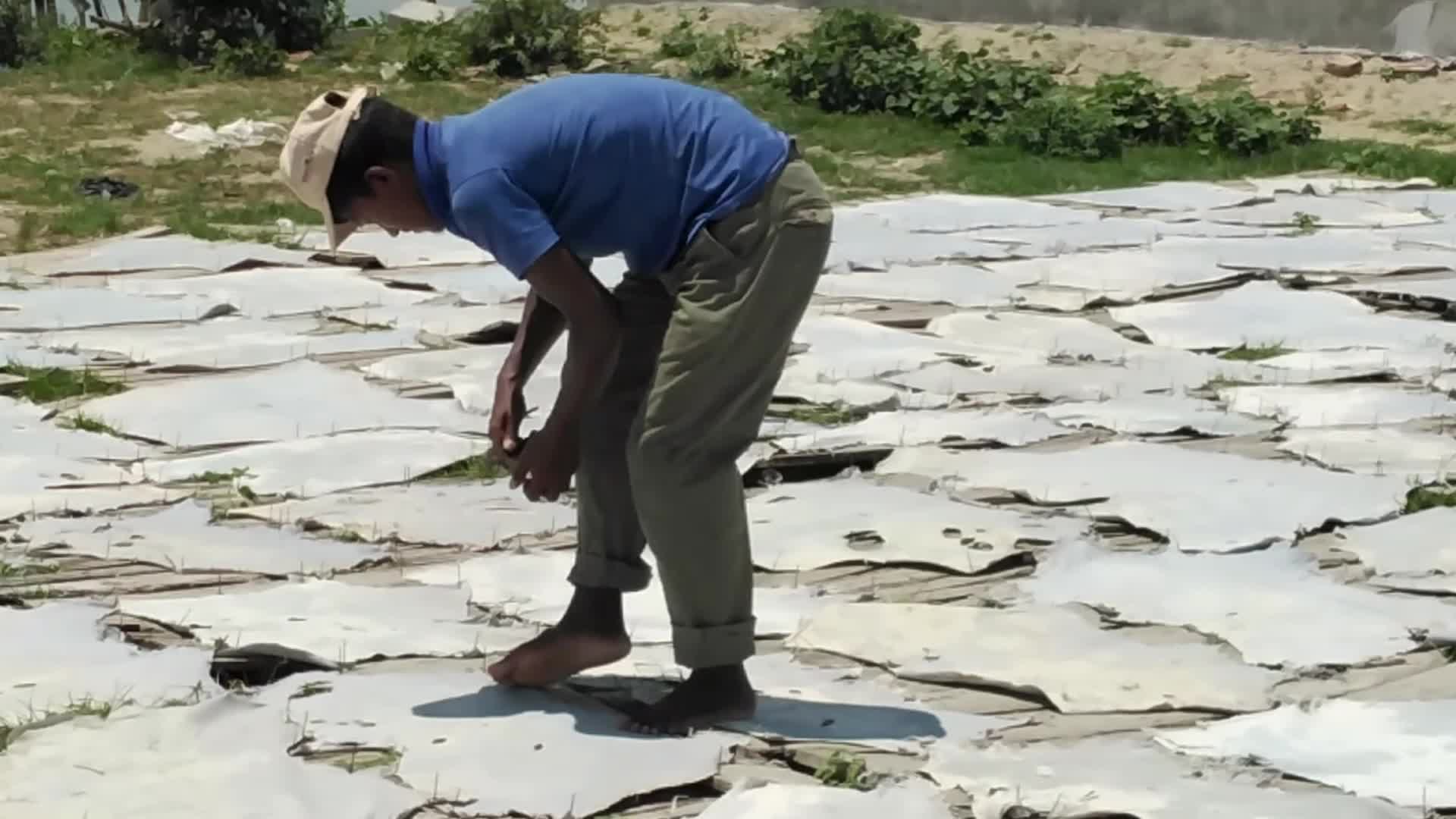 Raw Leather Drying in Dhaka