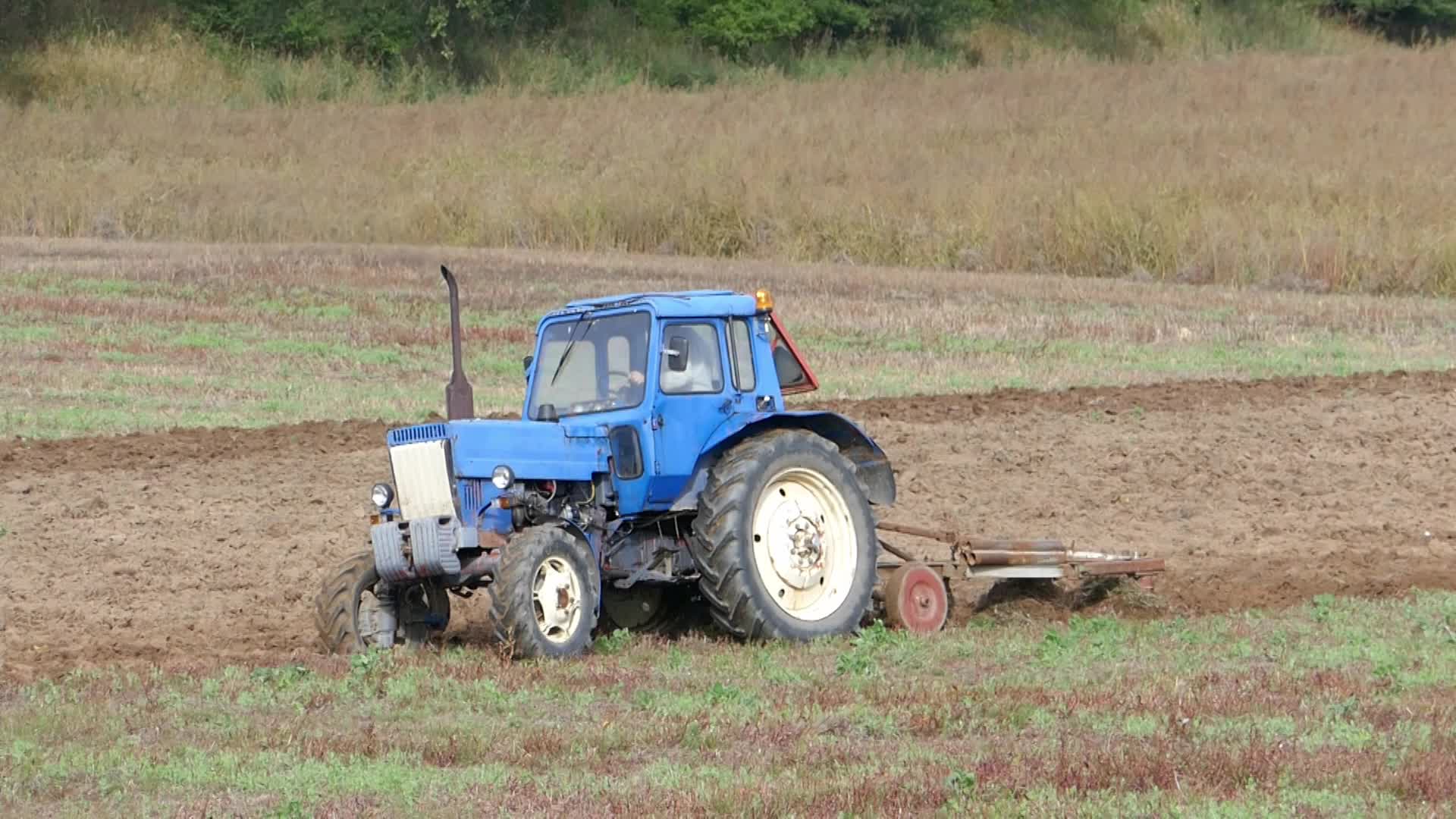 Farmer in Swibno