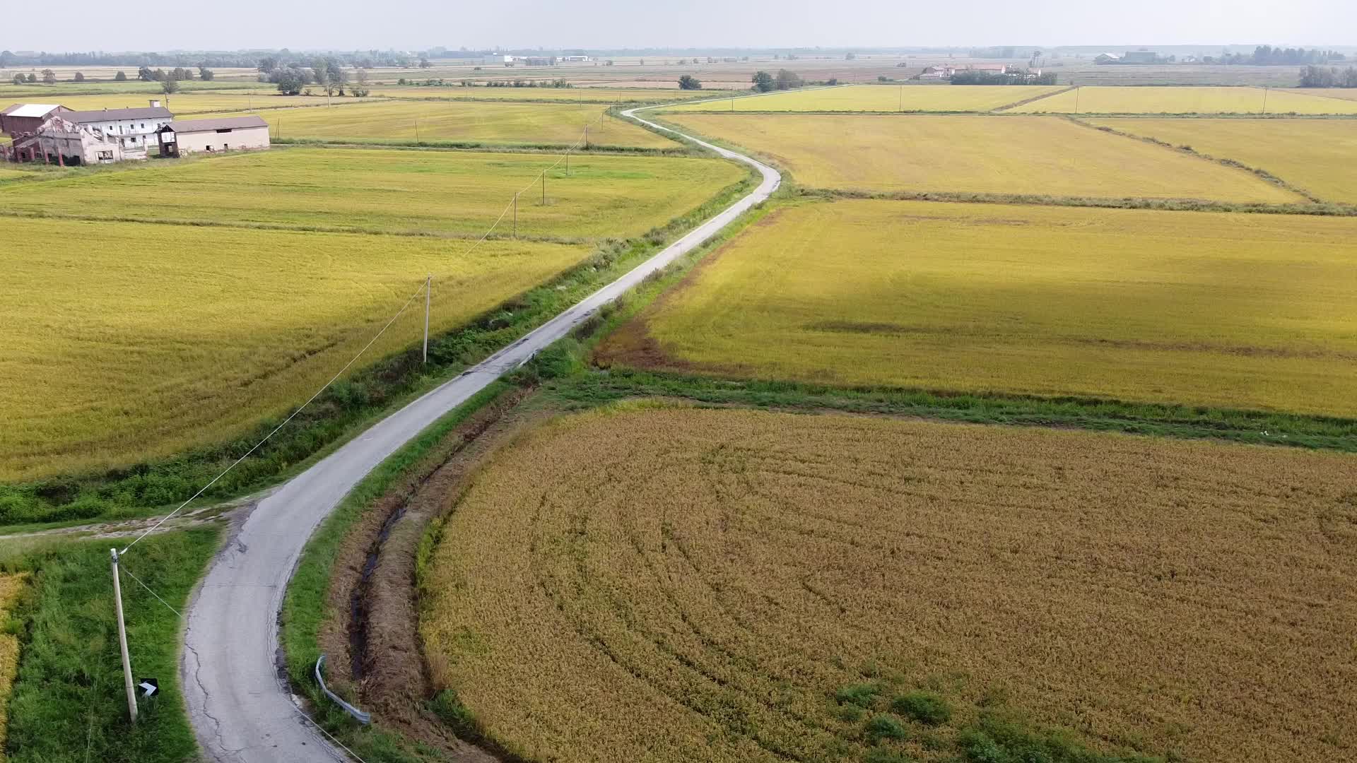 Drought in northern Italy: the surviving rice fields in Novara