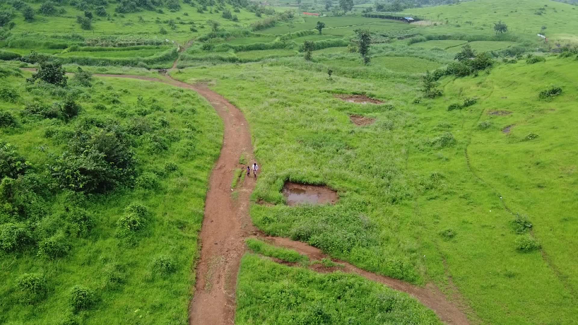 Father and son walking towards there village after days farm work