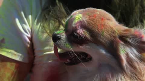 Kyiv Color Run in Ukraine