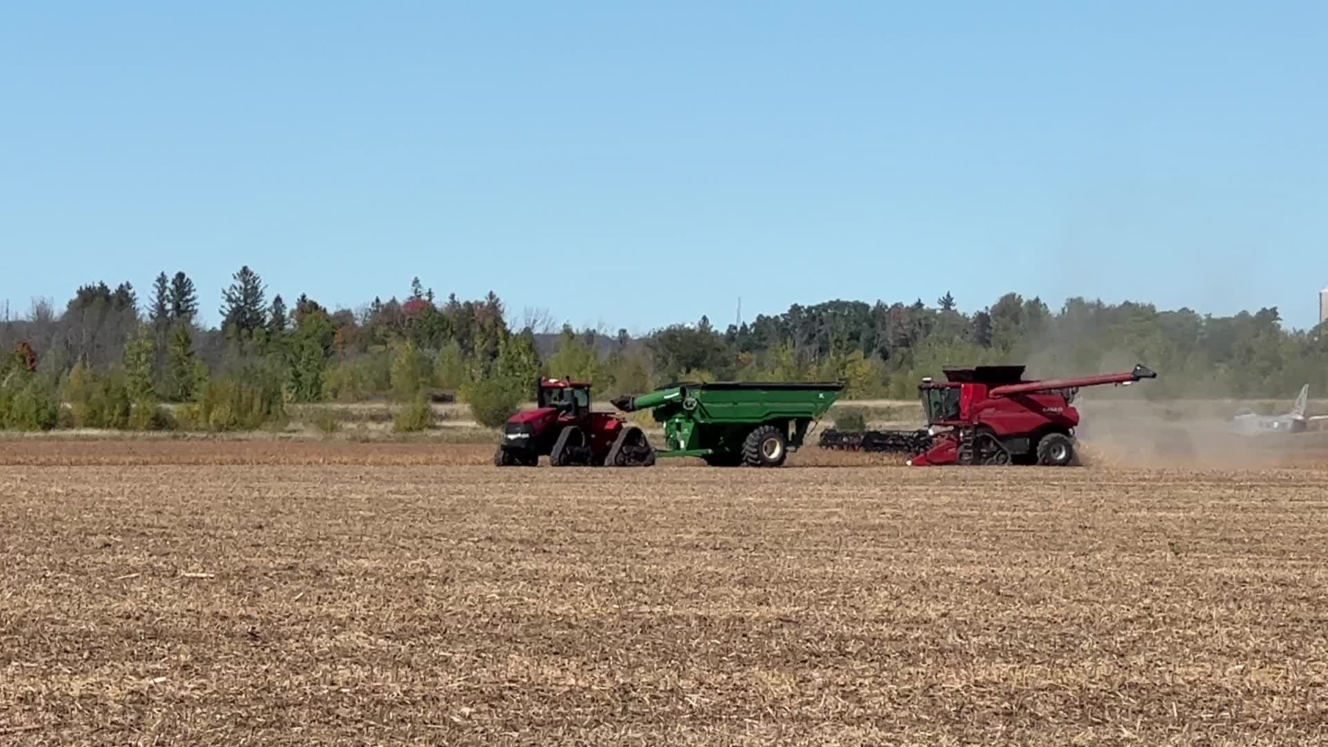 Harvesting grain in Canada
