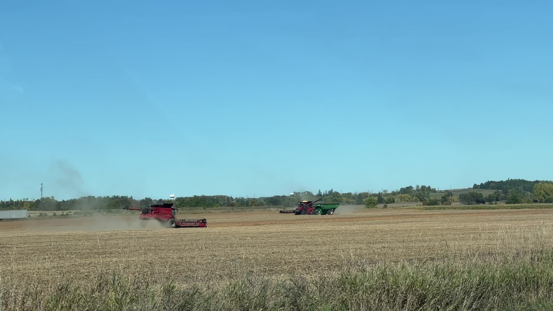 Harvesting grain in Canada