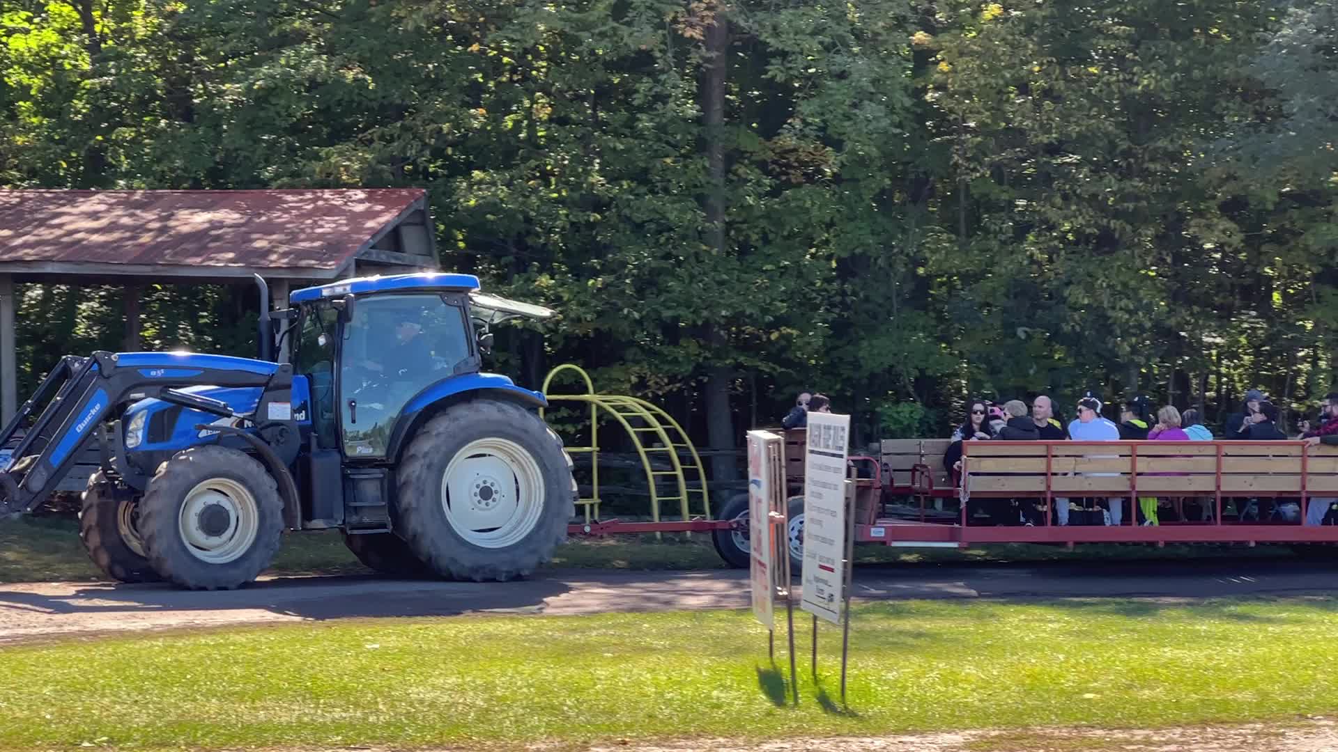 Apple picking in Canada