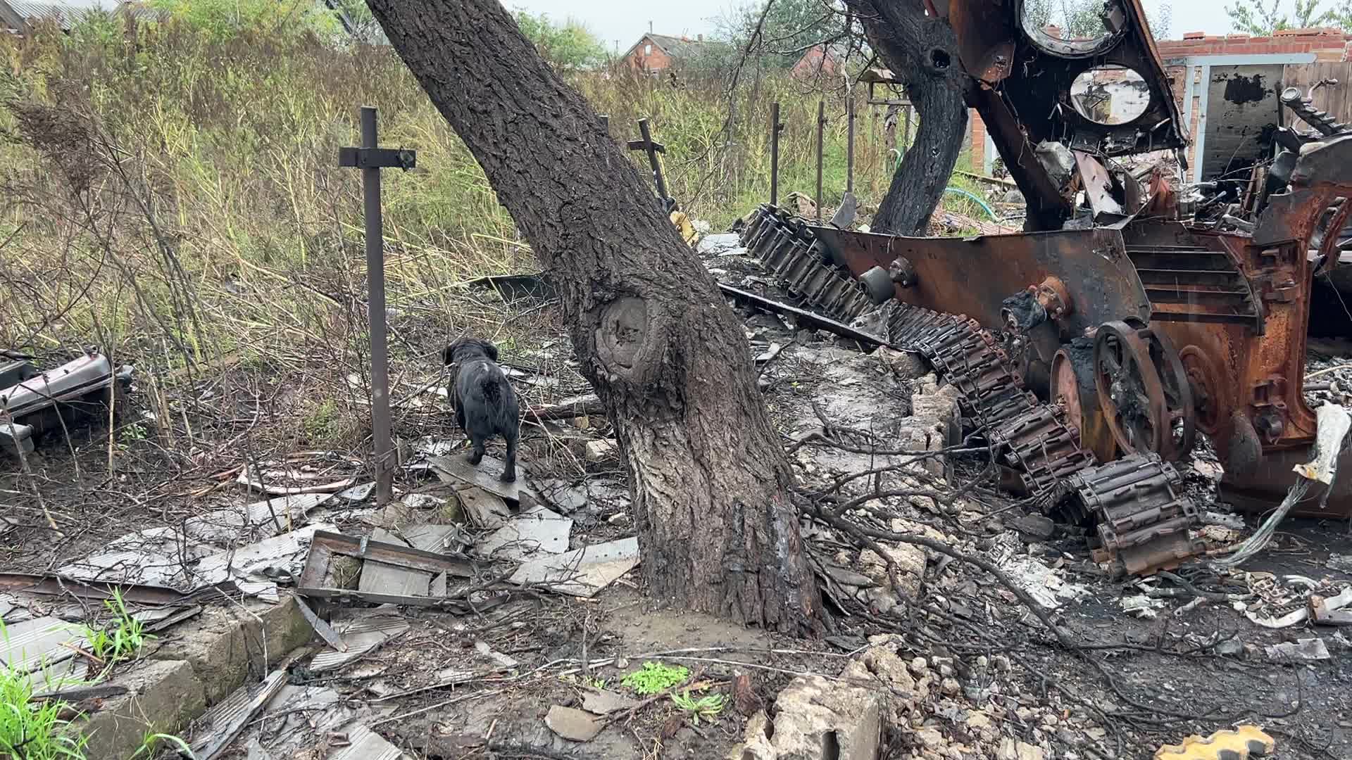 Liberated village of Kamianka in Kharkiv region