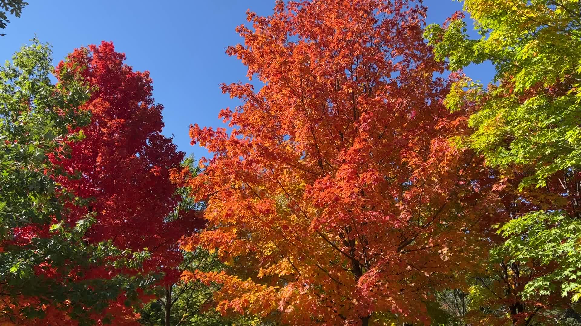 Autumn season in Canada