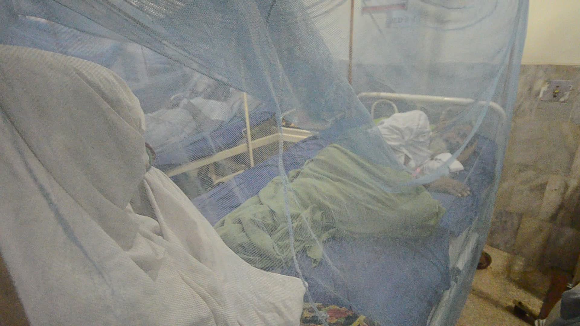 Pakistan reports rising cases of dengue fever in flood's aftermath
