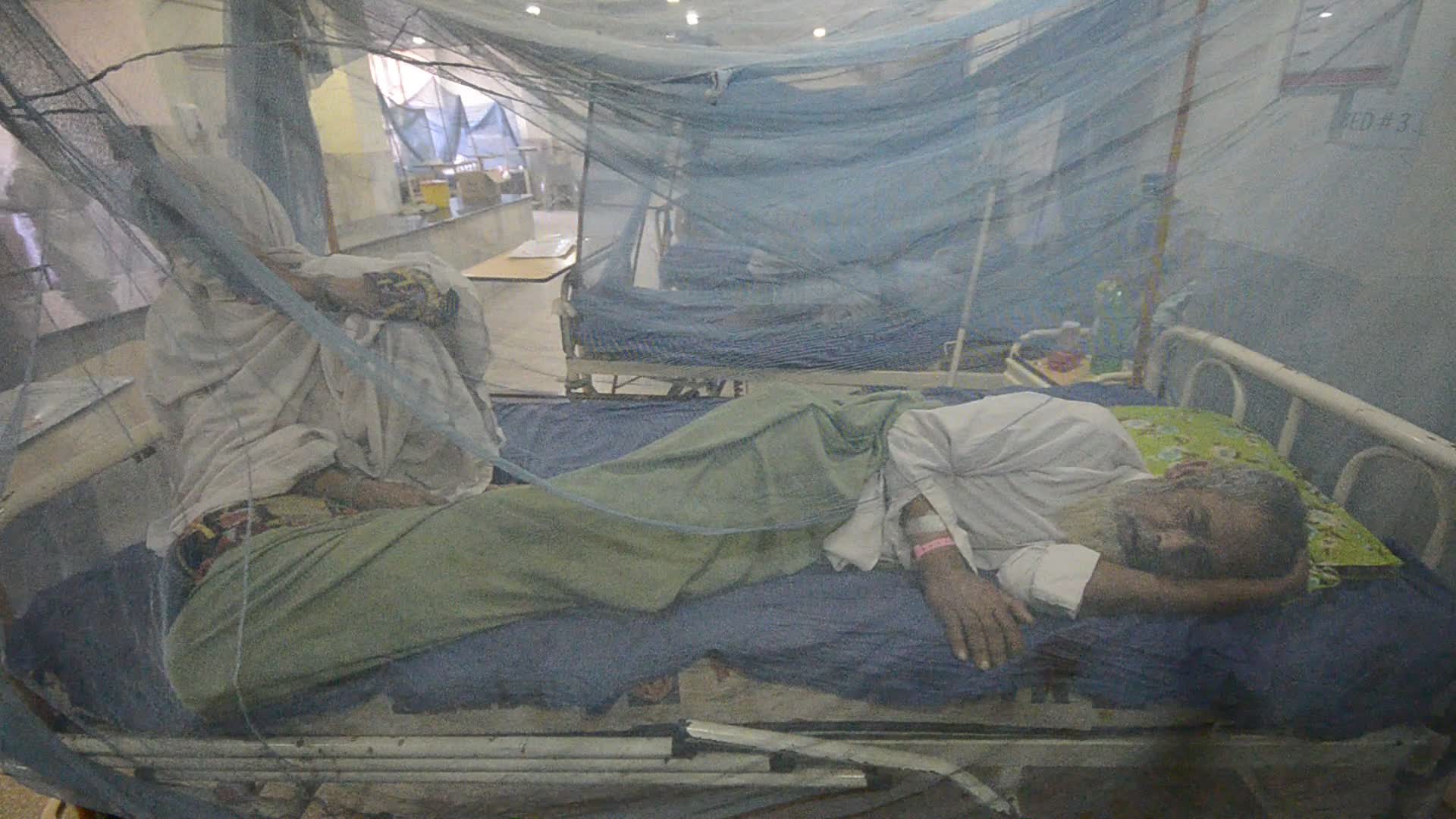 Pakistan reports rising cases of dengue fever in flood's aftermath
