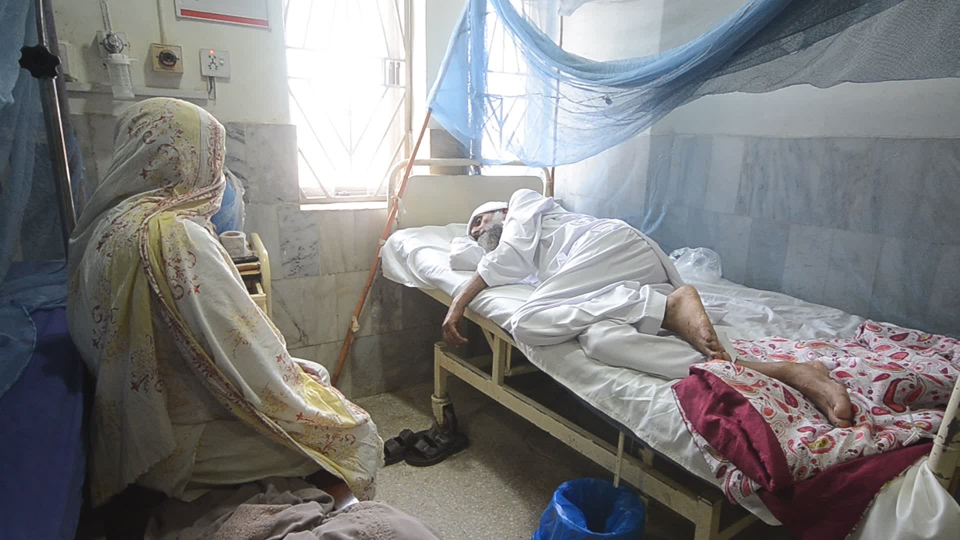 Pakistan reports rising cases of dengue fever in flood's aftermath
