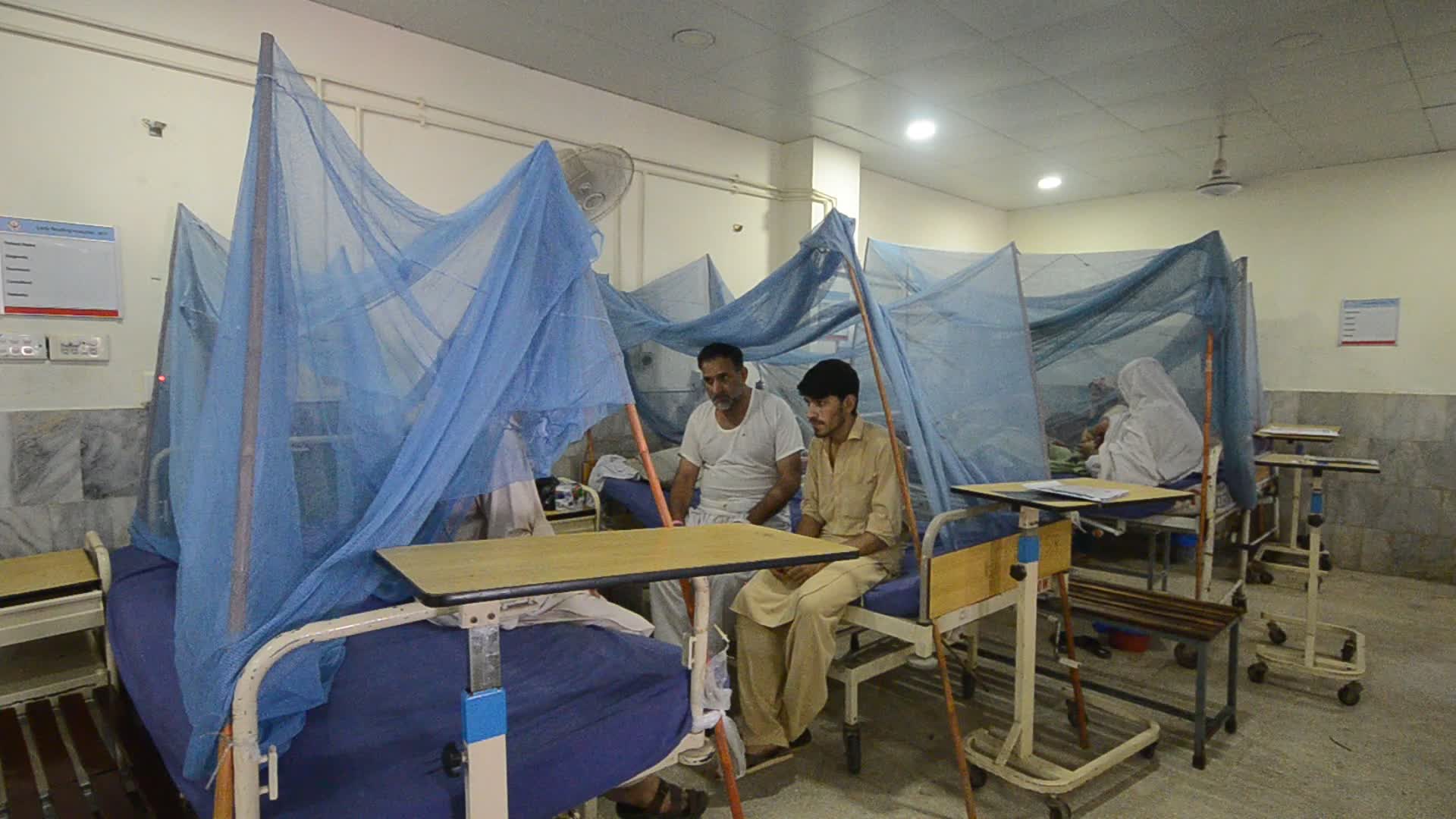 Pakistan reports rising cases of dengue fever in flood's aftermath
