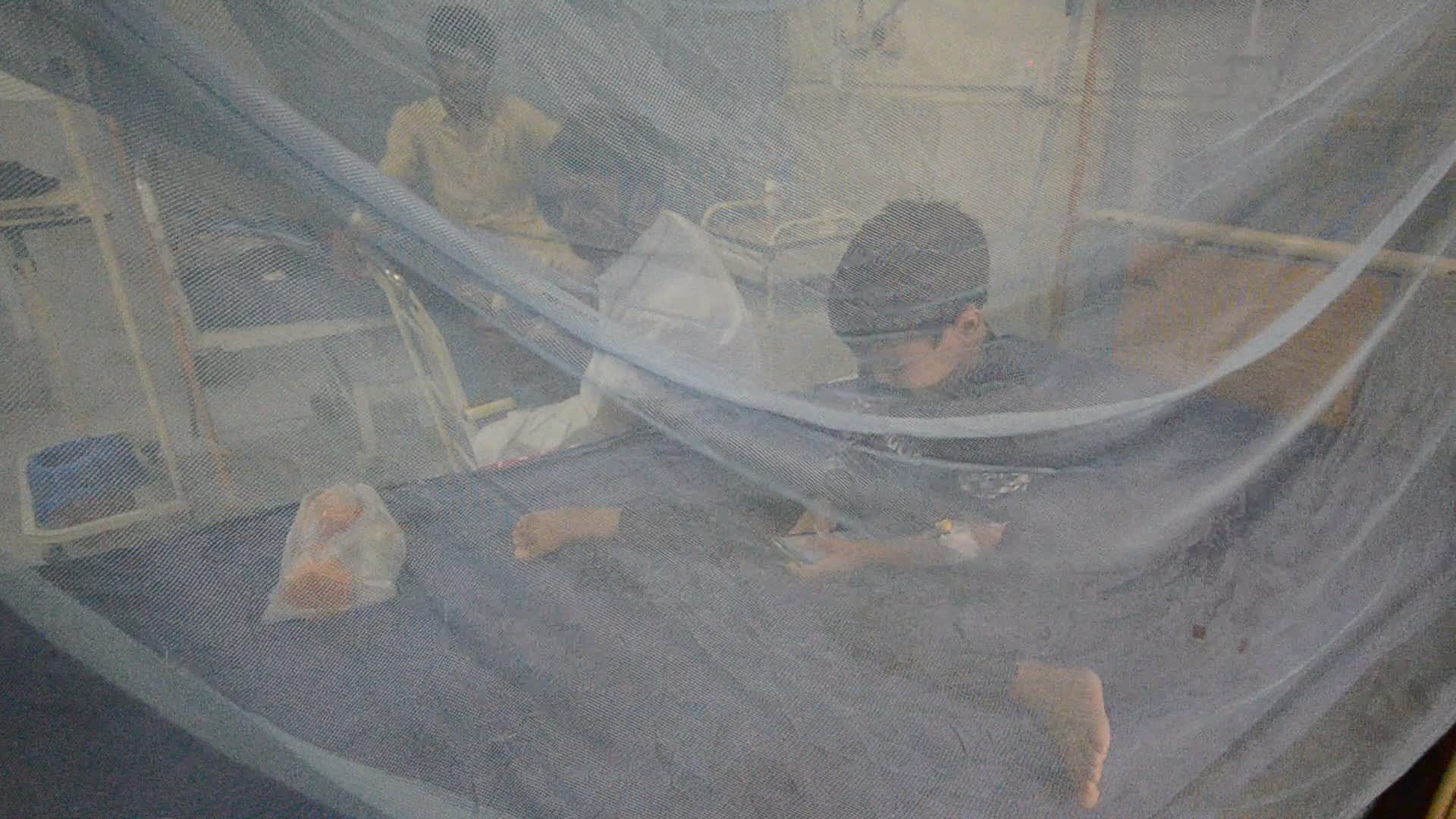 Pakistan reports rising cases of dengue fever in flood's aftermath
