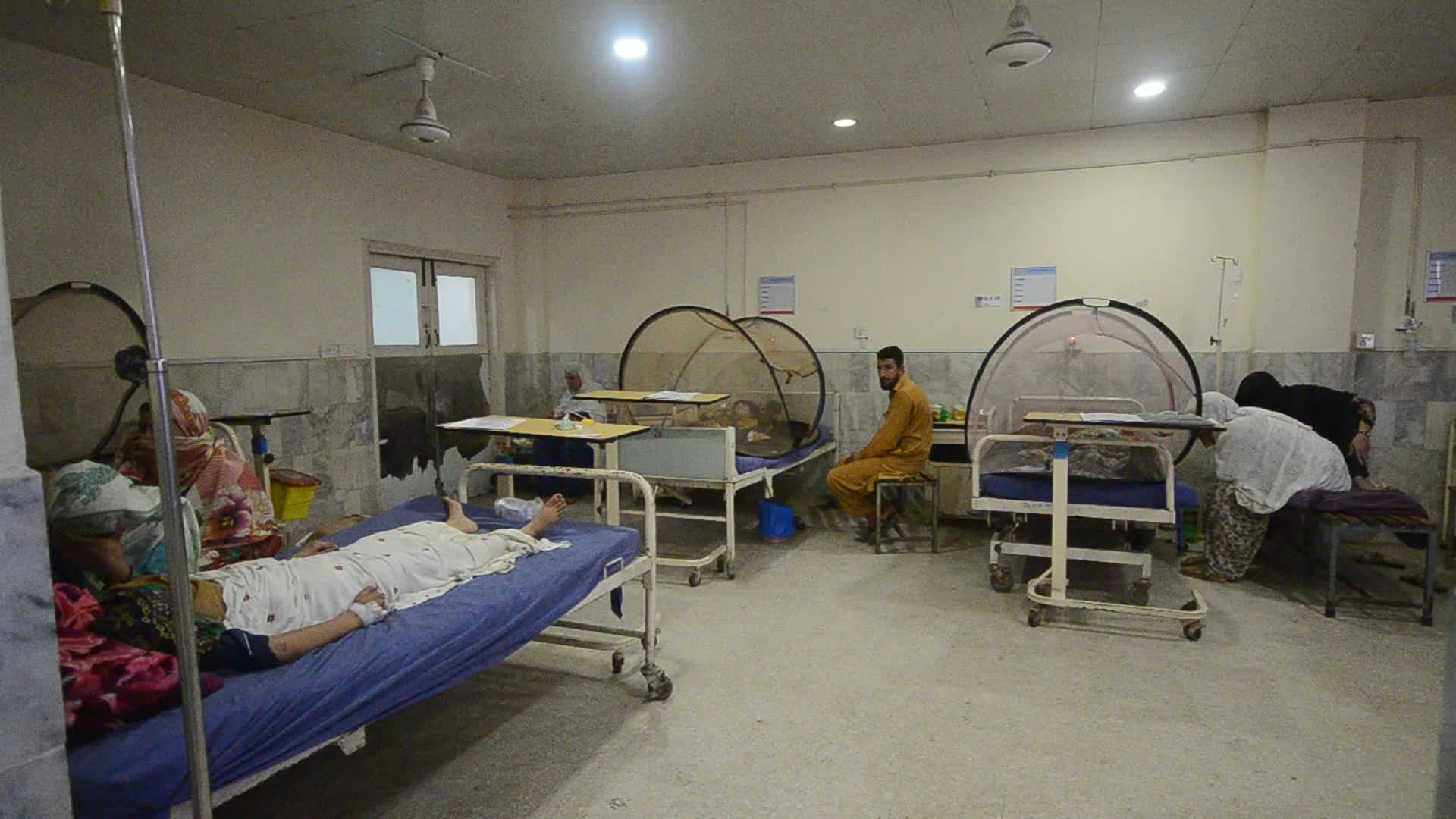 Pakistan reports rising cases of dengue fever in flood's aftermath
