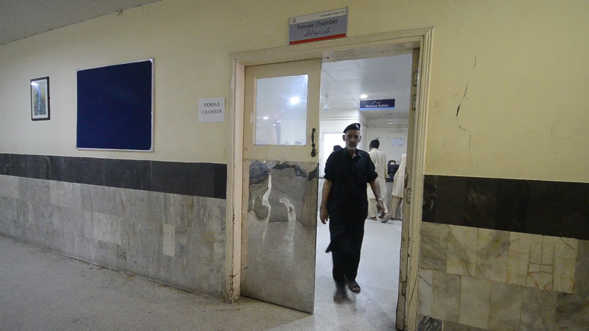 Pakistan reports rising cases of dengue fever in flood's aftermath
