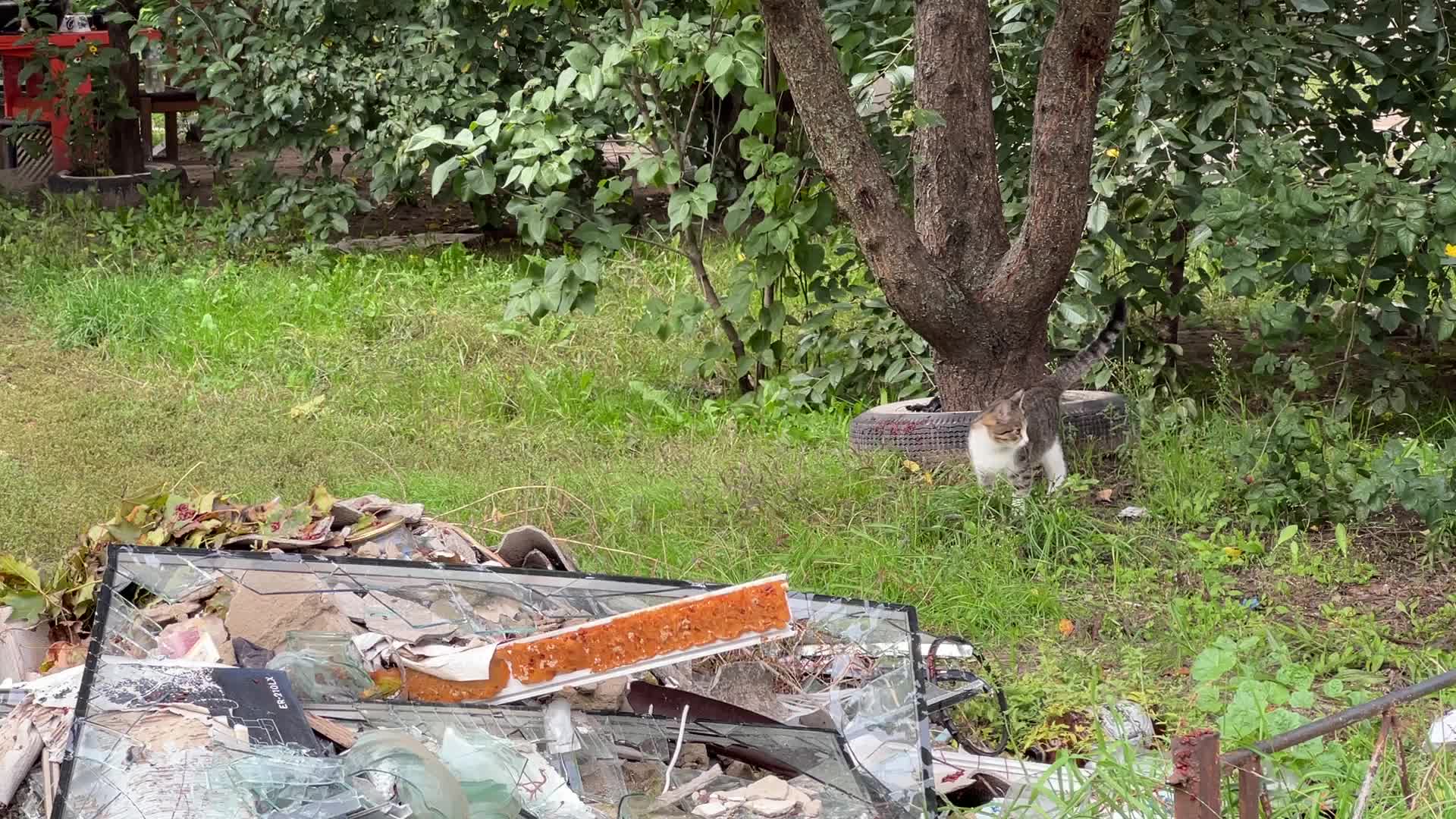 Recaptured Ukrainian city of Izium